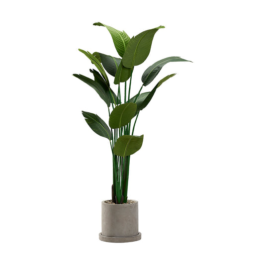 Artificial Travelers Palm 6.5ft (Pack of 2)