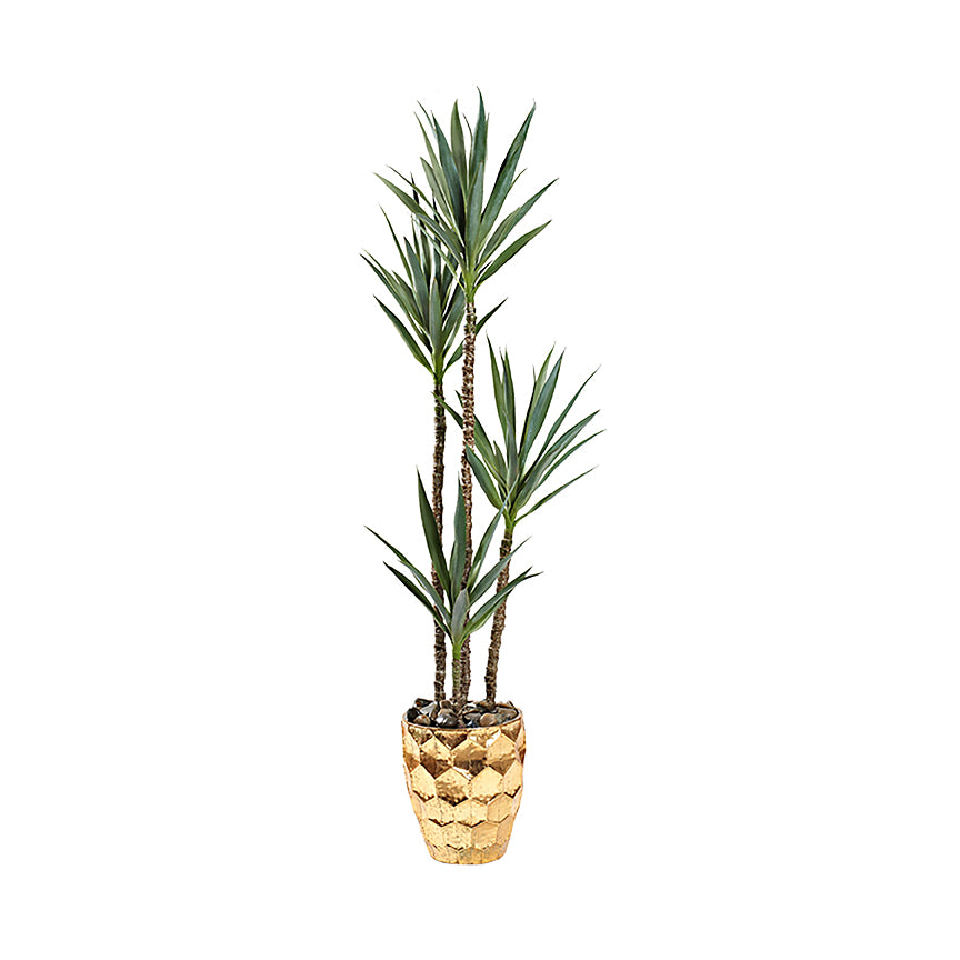 Artificial Yucca Tree 6.5ft (Pack of 2)