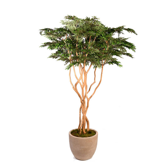 Artificial Ruscus Tree 8ft