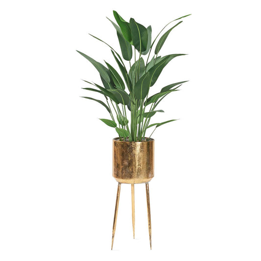 Artificial Traveler Palm (Pack of 2)