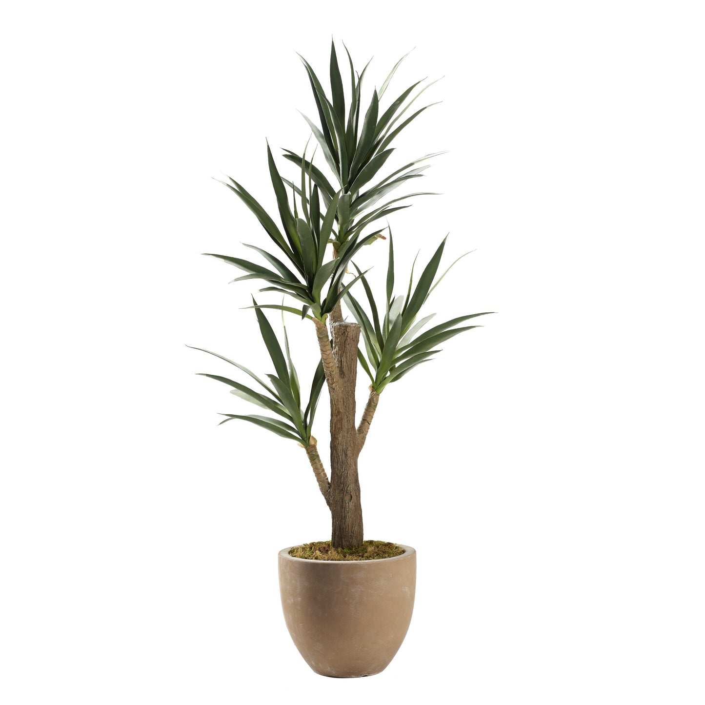 Artificial Yucca Tree 6ft (Pack of 2)