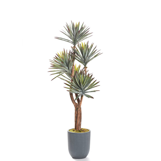 Artificial Yucca Love (Pack of 2)