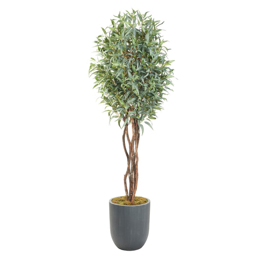 Artificial Eucalyptus with Fruit 8ft (Pack of 2)