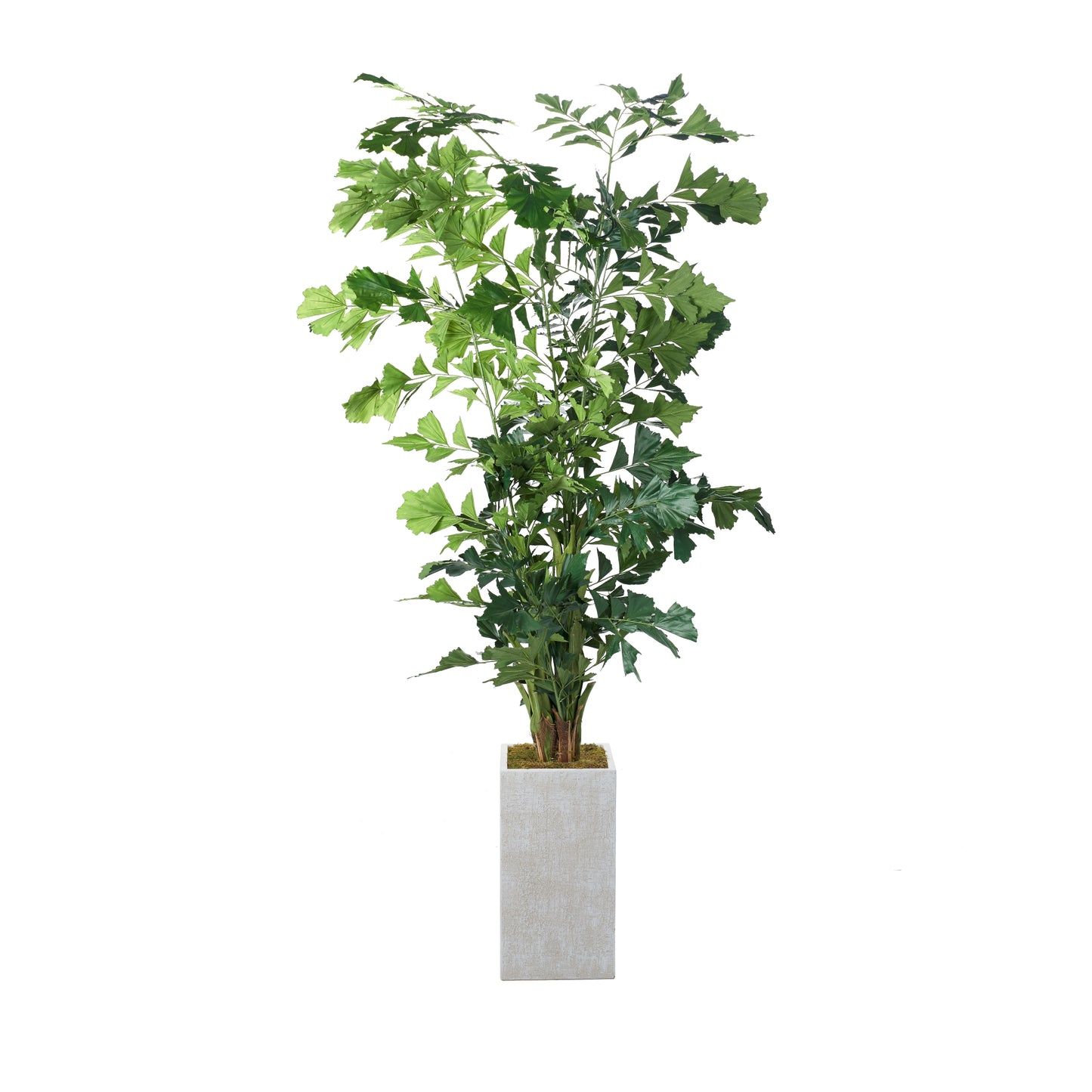 Artificial Fishtail Palm (Pack of 2)