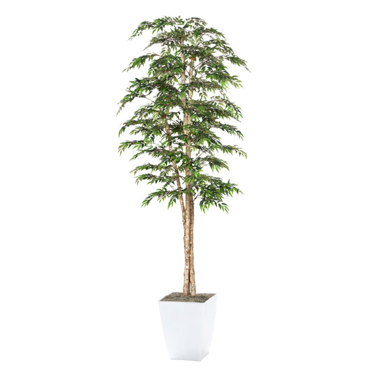 Artificial Ruscus Tree 8ft (Pack of 2)