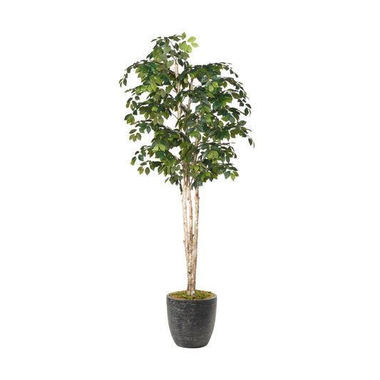Artificial Sakaki Tree 8ft (Pack of 2)
