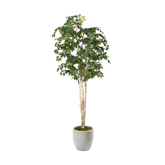 Artificial Sakaki Tree 8ft (Pack of 2)