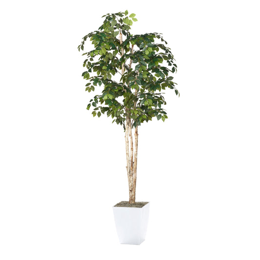 Artificial Sakaki Tree 8ft (Pack of 2)