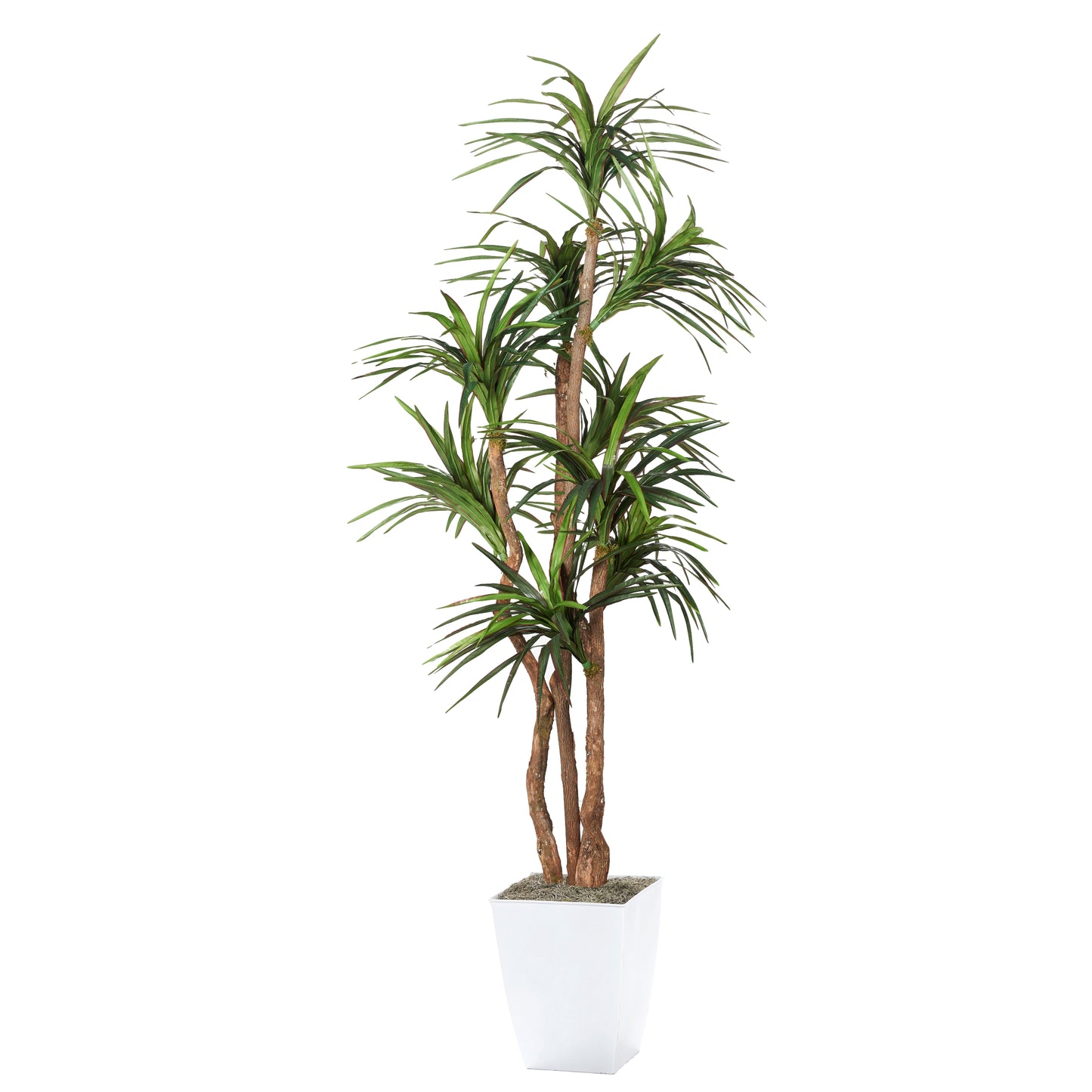 Artificial Dracaena Tree 8ft (Pack of 2)