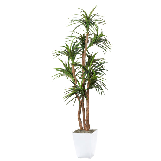 Artificial Dracaena Tree 8ft (Pack of 2)