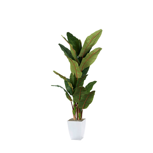 Artificial Banana Tree 8ft (Pack of 2)
