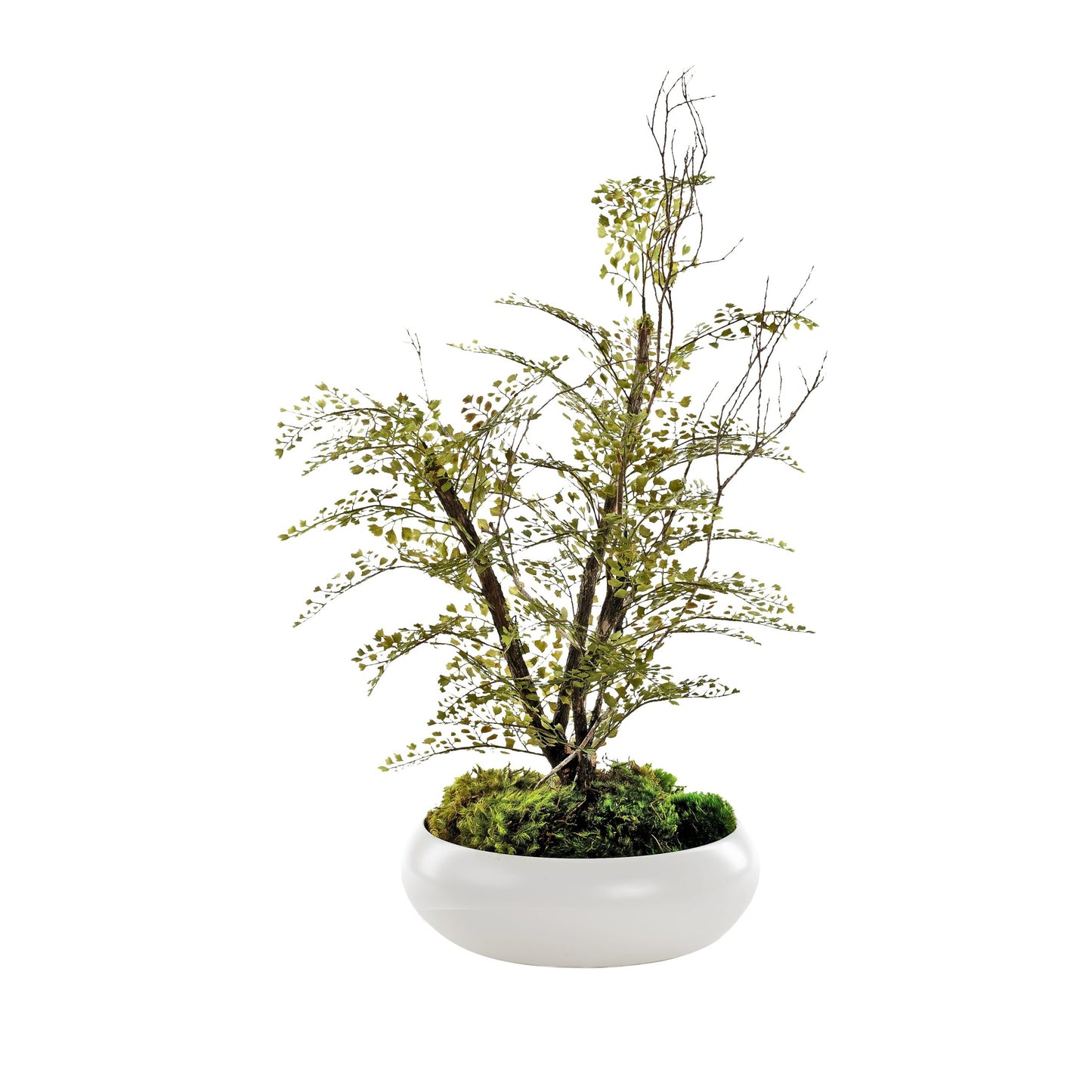 Artificial Iron Fan Fern (Pack of 3)