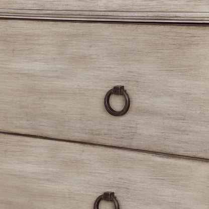Hudson Painted Beige Nightstands (2-Pack), Wood, Traditional, antique-style handles, carved details