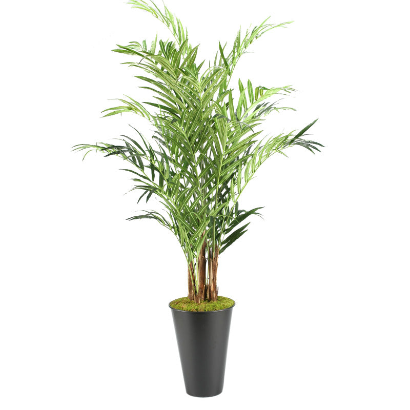Artificial 9ft Kentia Palm Tree 9ft (Pack of 2)