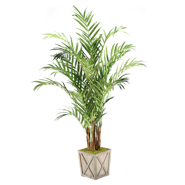 Artificial 8ft Kentia Palm Tree 8ft (Pack of 2)