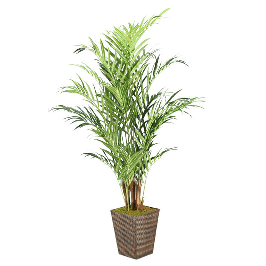 Artificial 8ft Kentia Palm 8ft (Pack of 2)