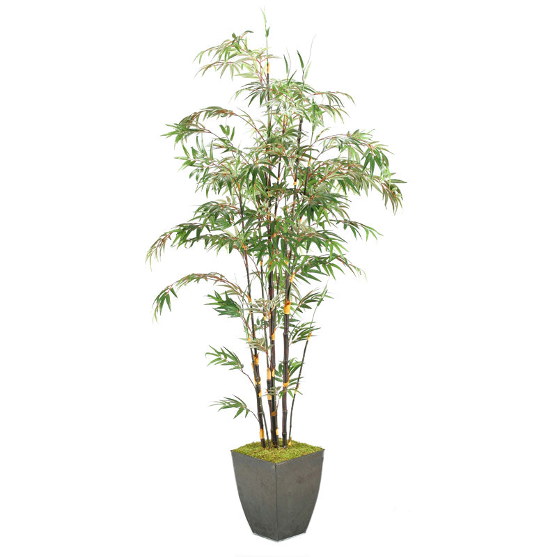 Artificial 8ft Black Bamboo Tree 8ft (Pack of 2)