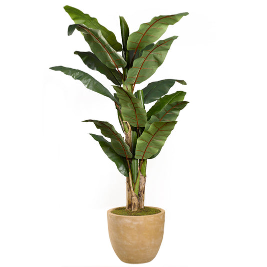 Artificial 8ft Banana Tree 8ft (Pack of 2)