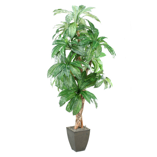 Artificial 8ft Birdnest Palm 8ft (Pack of 2)